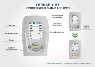 СКЭНАР-1-НТ (исполнение 01)  в Одинцове купить Медицинская техника - denasosteo.ru 